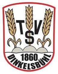 tsv dkb logo