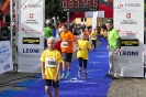 Seenlandmartahon 2014 Helfer_154