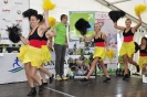 Seenlandmartahon 2014 Helfer_163