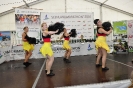 Seenlandmartahon 2014 Helfer_165