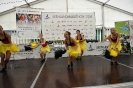 Seenlandmartahon 2014 Helfer_166