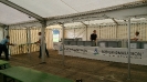 Seenlandmartahon 2014 Helfer_1