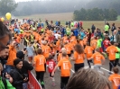 Seenlandmarathon 2017 - Sonntag_128