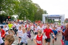Seenlandmarathon 2017 - Die Läufe