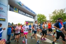 Seenlandmarathon 2018
