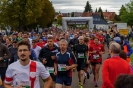 Seenlandmarathon 2018