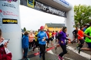 Seenlandmarathon 2018