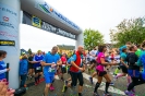Seenlandmarathon 2018