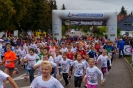 Seenlandmarathon 2018