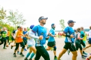Seenlandmarathon 2018