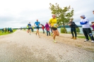 Seenlandmarathon 2018