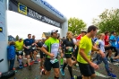 Seenlandmarathon 2018 - Die Läufe