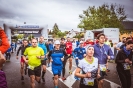 Seenlandmarathon 2018