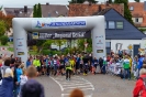 Seenlandmarathon 2018