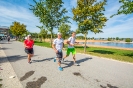 Seenlandmarathon 2019 - Die Läufe