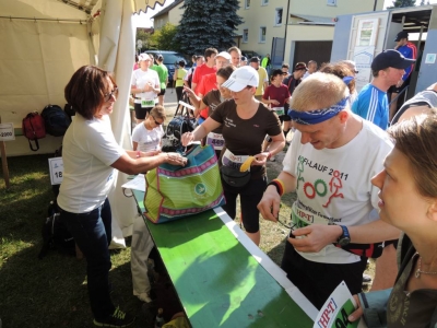 Seenlandmartahon 2012 Helfer_6