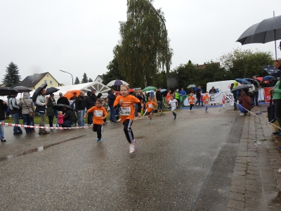 Seenlandmarathon 2016 - Bambinilauf_40