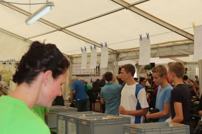 Seenlandmartahon 2014_113