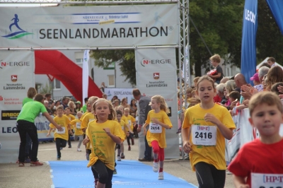 Seenlandmartahon 2014_120