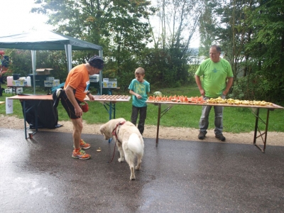Seenlandmartahon 2014 Helfer_121